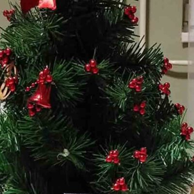 Adventi koszorú - Írók és Olvasók