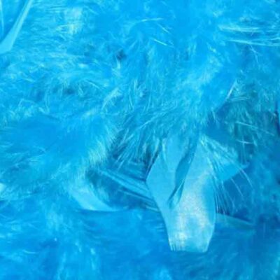 Boa - Írók és Olvasók