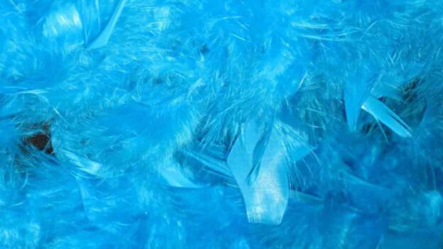 Boa - Írók és Olvasók