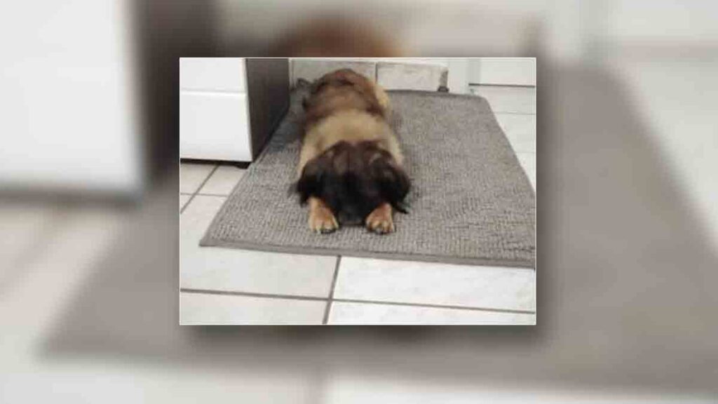 Család - Írók és Olvasók