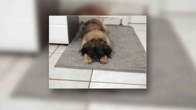 Család - Írók és Olvasók