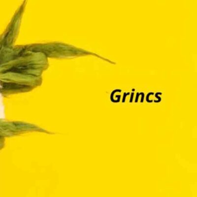 Grincs - Írók és Olvasók