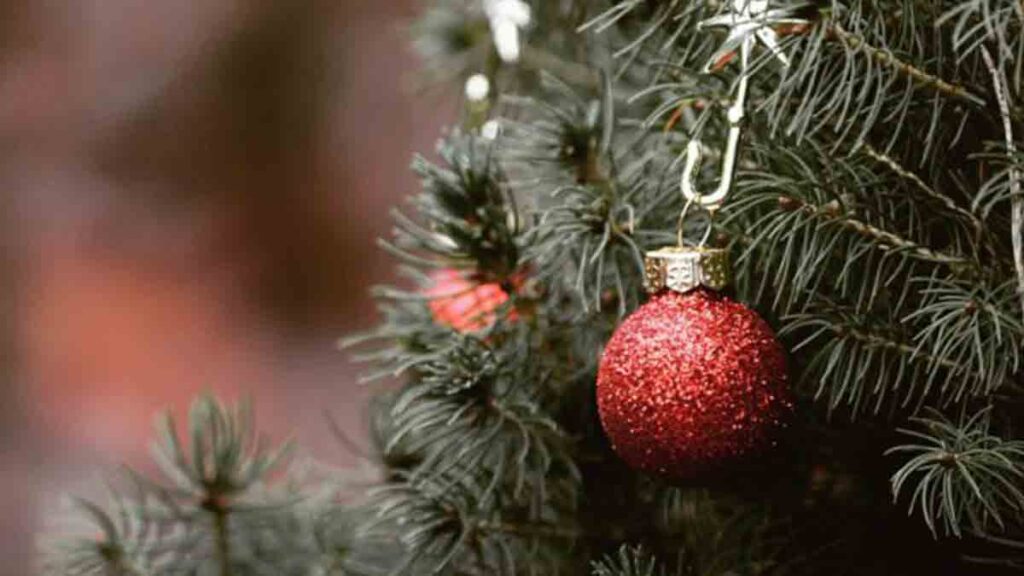 Karácsonyfa - Írók és Olvasók