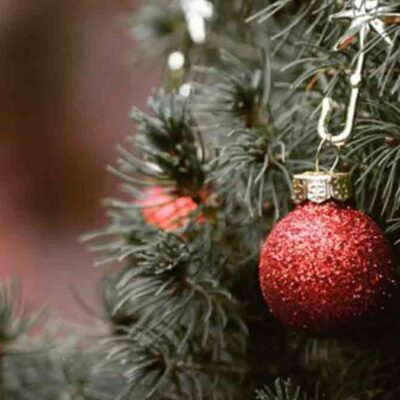 Karácsonyfa - Írók és Olvasók